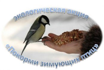 Экологическая акция «Покормите, птиц зимой!»